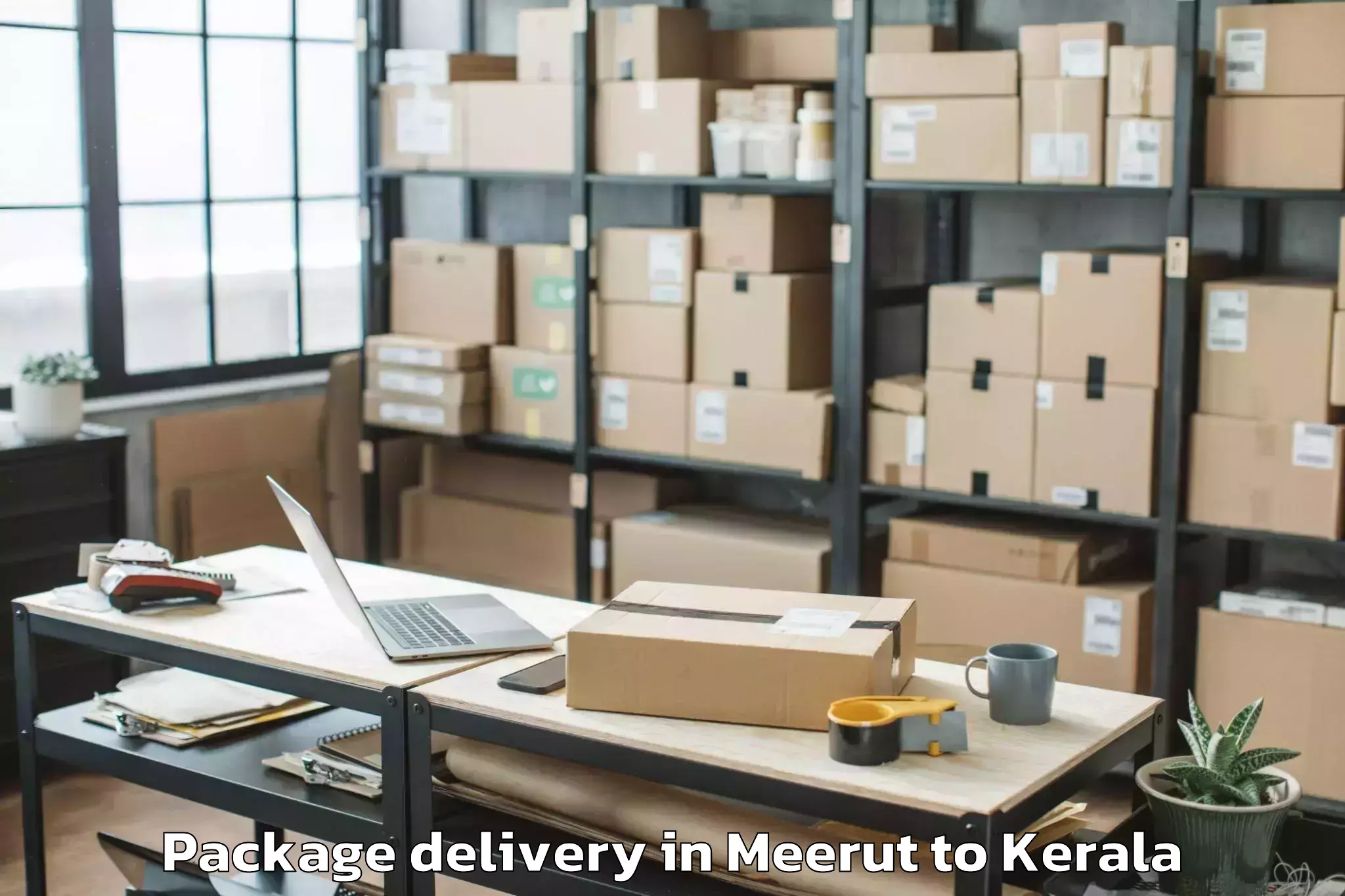 Reliable Meerut to Selex Mall Thrissur Package Delivery